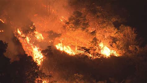 蛇山火事